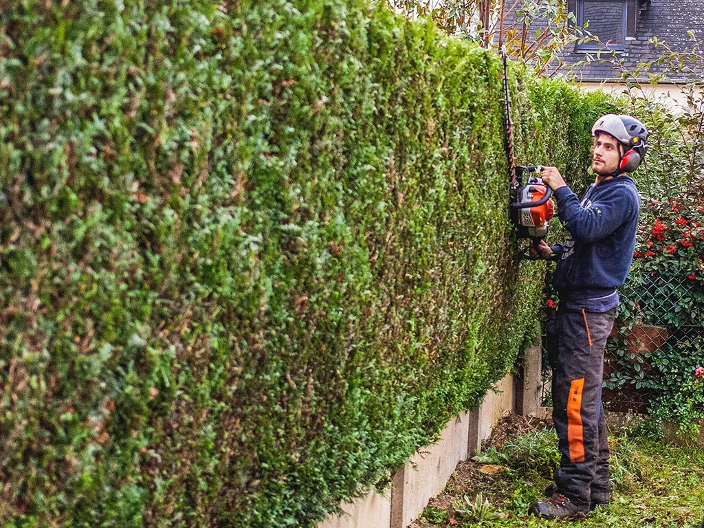 Forouest tailles de fruitiers haies Rennes Ille et Vilaine